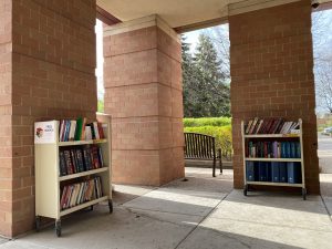 books on bookcarts outside