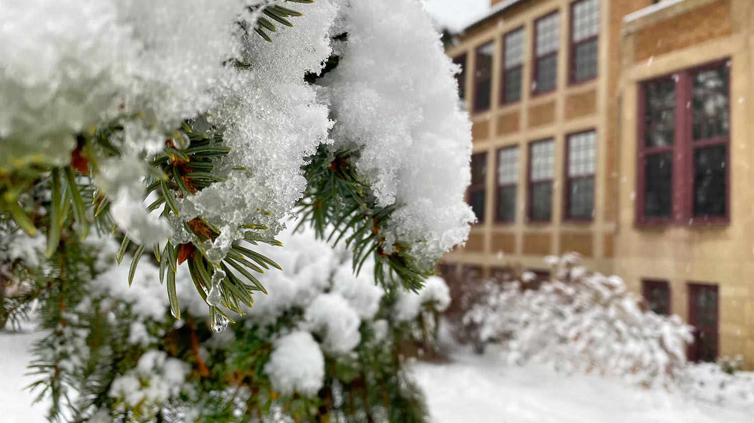 Holiday schedule for Mitchell Hamline campus News and Events